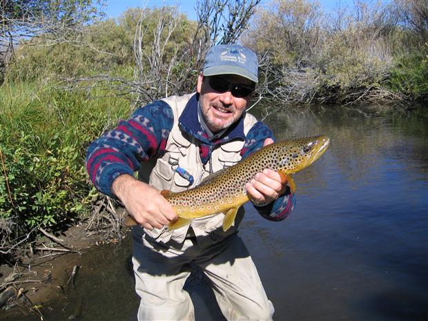 North Park Colorado Brown