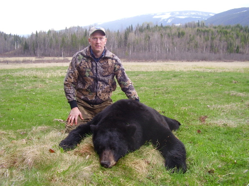 2008 bear
