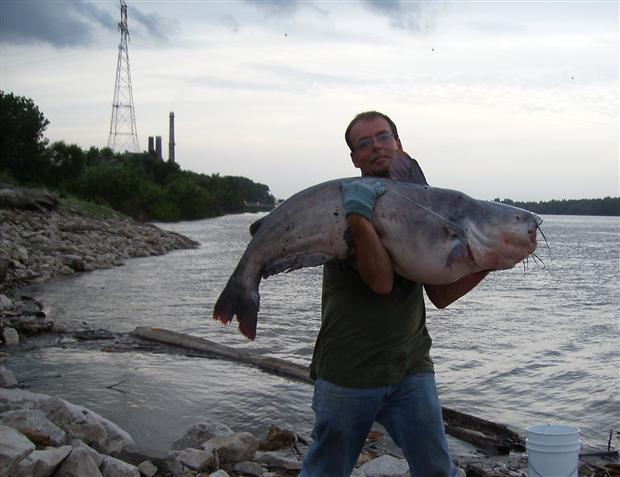 66 pound Blue