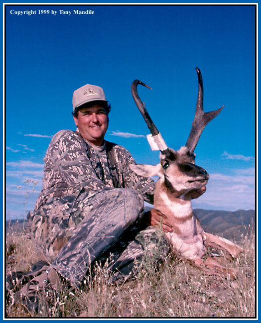 Richardson Pronghorn