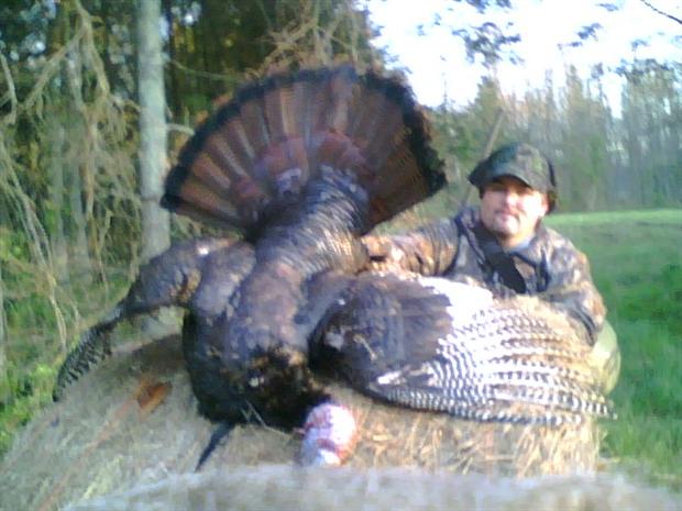 First Gobbler