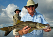 Harry Davis' Snook