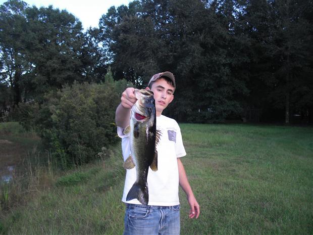 Nice Bass