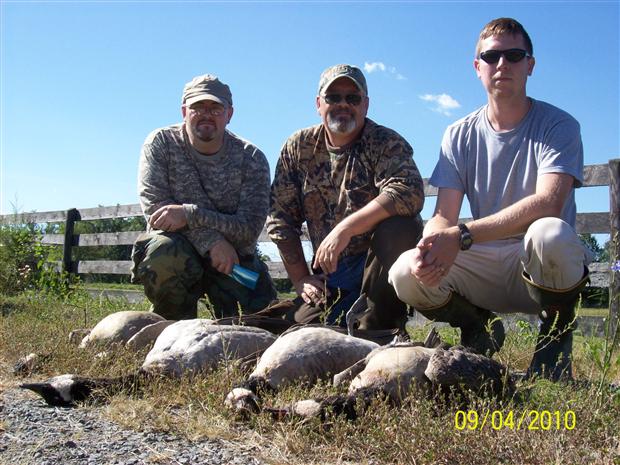 First Geese of 2010