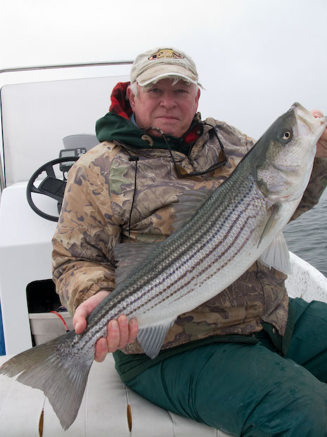 OC Striper