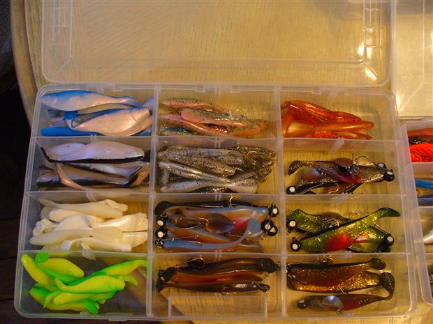 Swim Baits