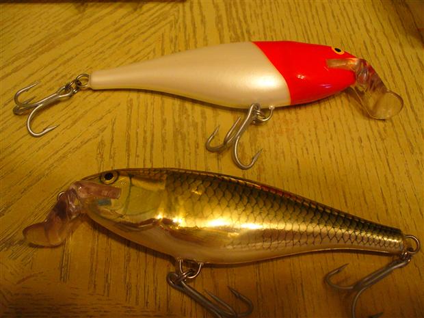 Huge Rapala Baits