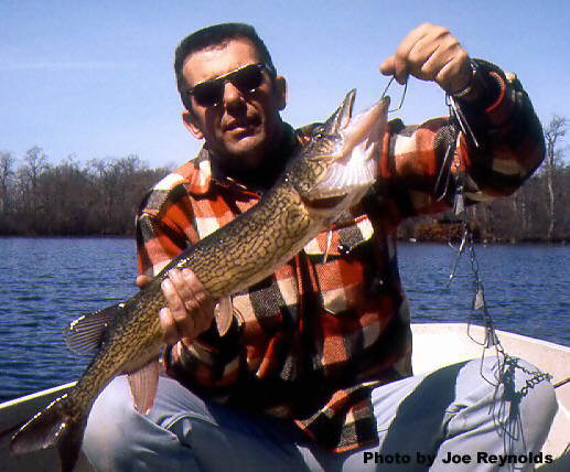 Chain Pickerel