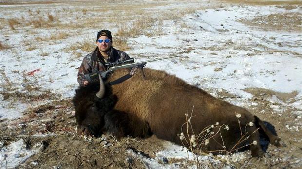 Nebraska Buffalo