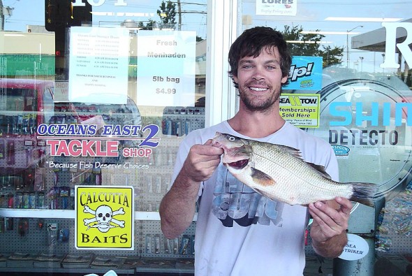 Huge White Perch