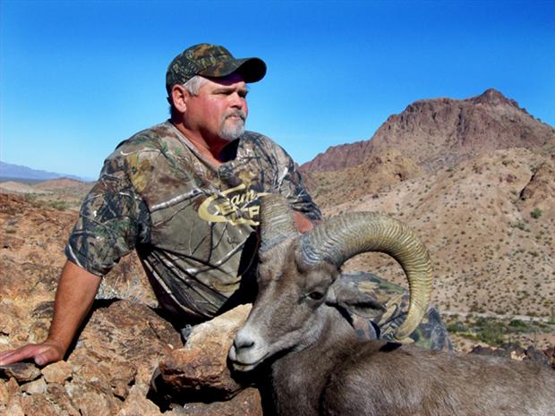 Mandile's Desert Bighorn