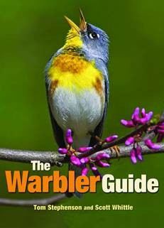 Warbler