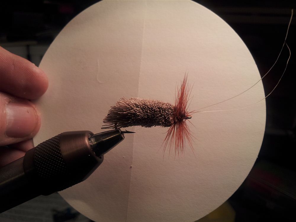 Goddard Caddis