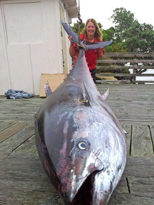 Pacific Blue Tuna