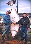 Halibut - 285 Pounds - Outdoors Network