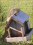 Squirrel in my bird feeder!