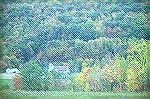 Fall Color along Interstate 81 in
Pennsyvania. 