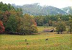 Cades Cove in the Smoky Mountains of Tenn.
is not only a beautiful place but also is
loaded with historical sights.