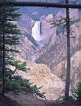 The upper Falls at Yellowstone National
Park is one of the most Picturisque in the
USA.