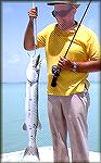 Small barracuda caught by Baltimorean Chuck Edghill on a plug while fishing out of Boca Paila, Mexico.