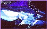 This White Marlin was caught in the Canyons off of Montauk NY.  
A Duplicate of this image was Published in Marlin Magazine.  
Copyright 1999, by Mike Plaia  
No Reproduction Without Permission
