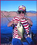 Ellen Mandile with a fat, sassy crappie caught on a pumkin-colored grub at Roosevelt Lake in Arizona. 