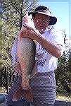 Otis Kingsbury proudly displays what will be the new record walleye in Arizona. The hefty fish, caught Oct. 15th at Show Low lake, weighed 12 lbs., 14 ozs. on a certified scale.