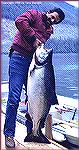 Tony Mandile hoists (barely!) his 59-lb. king salmon from Rivers Inlet, BC. The fish ate a cut herring bait and was landed on a med. weight bass rig with 17-lb. monofilament.