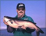 Angler shows nice catfish.