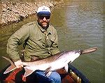 Paddlefish caught in backwaters of Cherokee Lake in TN while trolling for stripers.
Bottomed out 50lb. digital scale and the tail hadn''t even left the deck of the boat! She measured 61 inches overal
