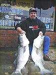 Rock taken jigging StingSilvers and Diamond jiggs Tanigers Sound 12/9/01