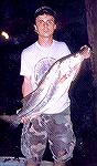 Haulover Inlet Snook.