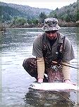 life is good..we are having a great run of steelhead this year.... O mykiss!

chetco river Oregon
Flloyd Aldrich