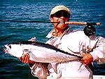 Northern Bluefin Tuna caught off Mooloolaba, Queensland Australia