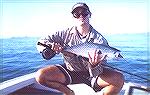 I caught this small Mac tuna off Mooloolabah on the Sunshine Coast, QLD, Australia.  Its only a small one but even at this size they are very fast and strong.
