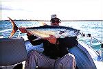 paul with his 5 longtail on fly. A nice longtail tuna taken in Australia on a white and olive polar fibre surfcandy.This fish was 15 kg