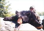 First night of the hunt I killed this bear at 6 yards using a .338 w/ 200 grain Nosler Balistic Tip handloads