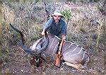 The second kudu takenKudu #2Michael Clerc