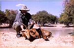 Impala taken on first day of the safariImpalaMichael Clerc