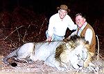 SCI founder C.J. McElroy (left) and Bill Quimby with lion Quimby  took in Zambia''s Mumbwa East concession in 1994.zambia lionbill quimby