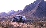 The Little Horn Mountains of Southwestern Arizona are home to several bands  of desert bighorn sheep.desert sheep countrybill quimby