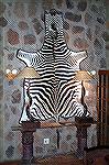 This is a zebra skin rug, hung on the wall inside the main lodge at the Landelani hunting lodge in South Africa. The lamps on either side are made from kudu horns.Zebra RugMike Clerc