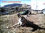 Utah 2001 Muzzeloader buck taken By Troy Morzelewski2001 Utah Muzzleloader BuckTroy Morzelewski