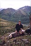 Greg Kruger''s first ram taken on a fly in hunt near Dease Lk. B.C.more stone sheepjoebuck