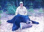 Nick Turano Sr. killed this 7'4" bear in British Columbia while hunting with outfitter Roy Pattison of Sentinel Mountain Outfitters. Nick Sr.'s BC BearTM