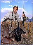 Black Wildebeest killed by Tony Mandile in June 2003 on a 10-day hunting trip with John X Safaris in South Africa.Tony's Black Wildebeest 2TM