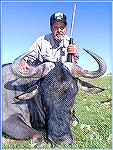 Blue Wildebeest killed by Tony Mandile in June 2003 on a 10-day hunting trip with John X Safaris in South Africa.


Tony's Blue Wildebeest 2
TM