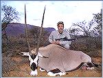 Gemsbok with 39" horns killed by Tony Mandile in June 2003 on a 10-day hunting trip with John X Safaris in South Africa.


Tony's Gemsbok 1
TM