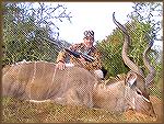 East Cape Kudu with 48" horns killed by Tony Mandile in June 2003 on a 10-day hunting trip with John X Safaris in South Africa.  Tony's Kudu 1TM