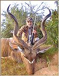 East Cape Kudu with 48" horns killed by Tony Mandile in June 2003 on a 10-day hunting trip with John X Safaris in South Africa.  Tony's Kudu 2TM